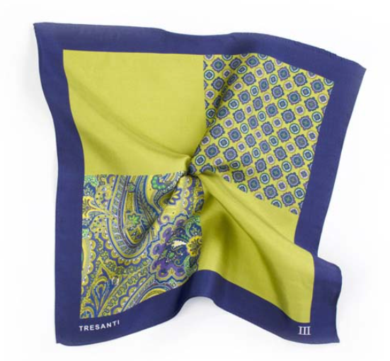 Printed Navy and Green Pocket Square by Tresanti