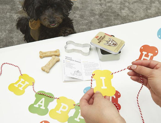 Dog birthday kit by KIKKERLAND
