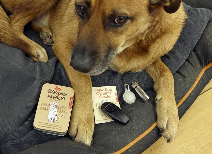Welcome to the family dog kit by KIKKERLAND