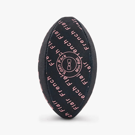 Mini rugby ball by Eden Park