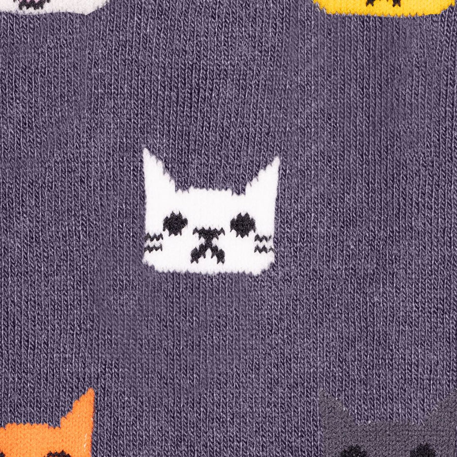 Cats by Swole Panda