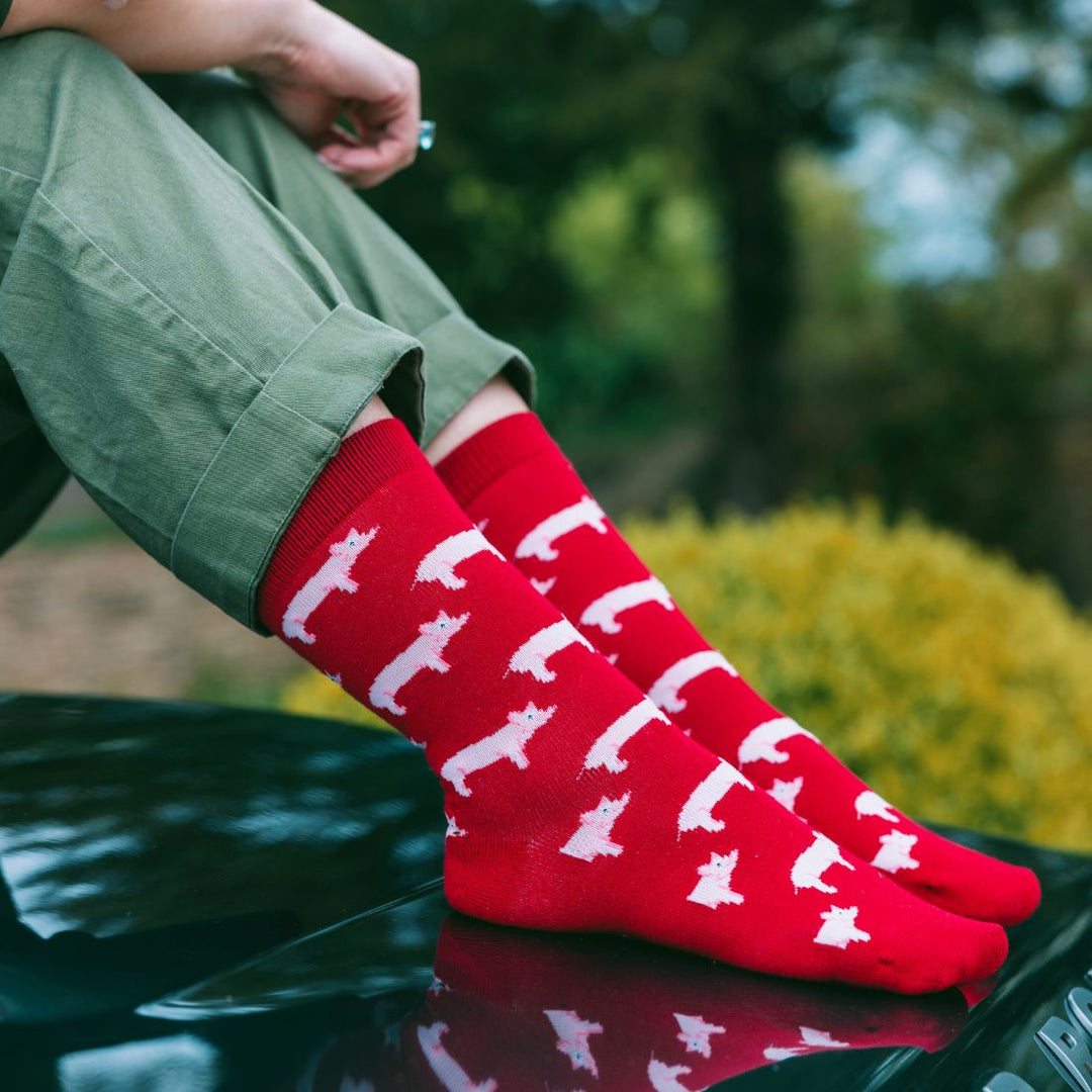 Pig Bamboo Socks by Swole Panda