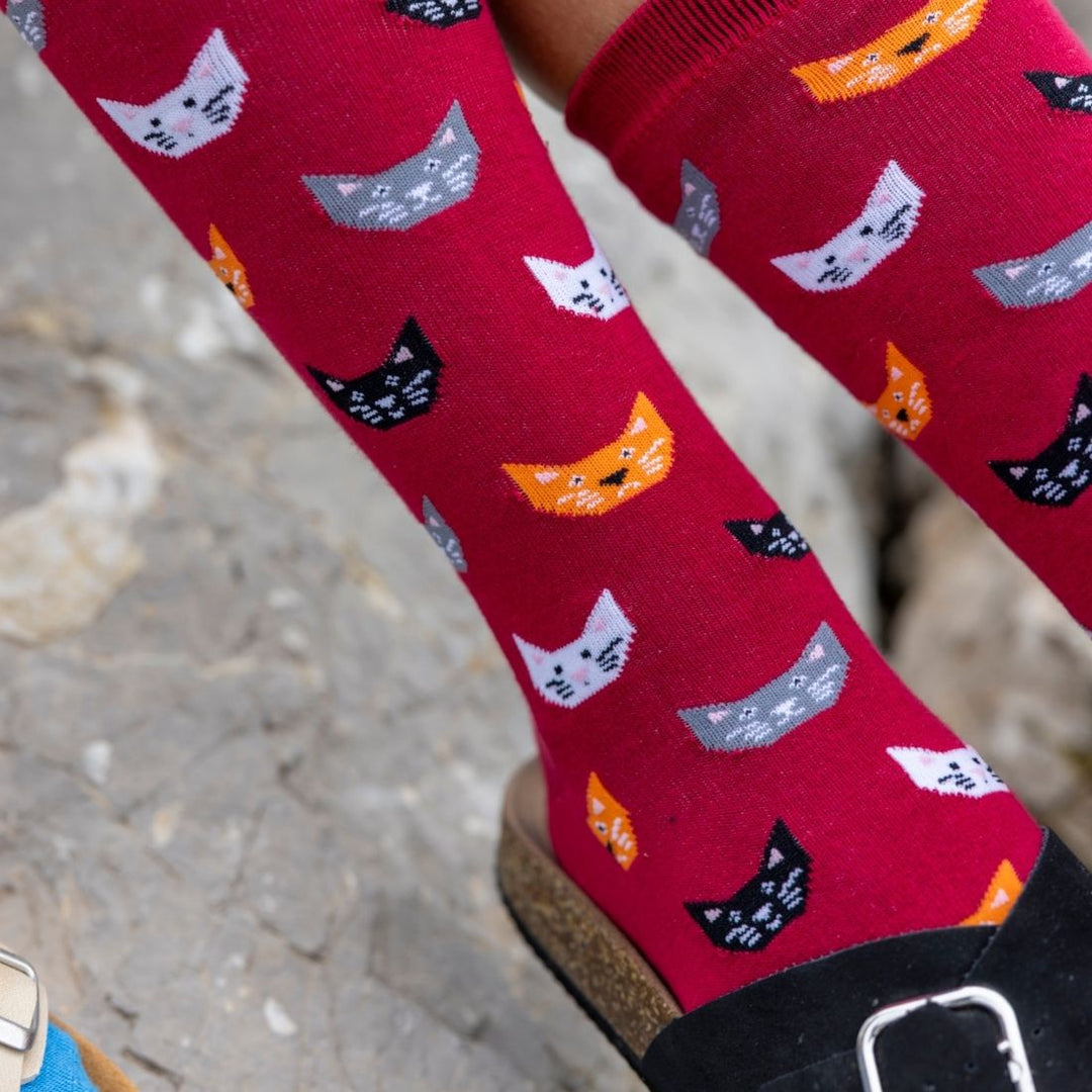 Red Cat Bamboo Socks by Swole Panda
