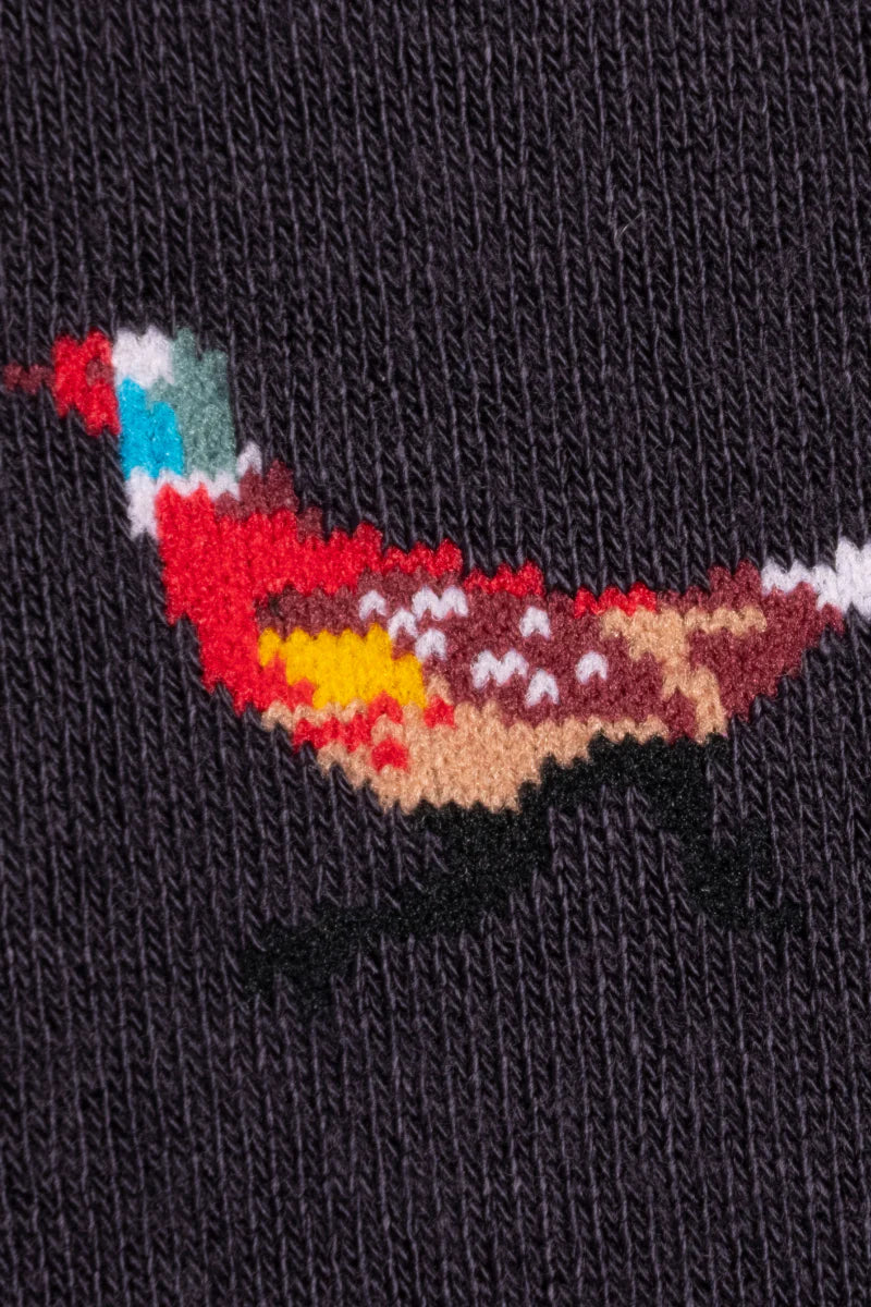 Pheasants by Swole Panda