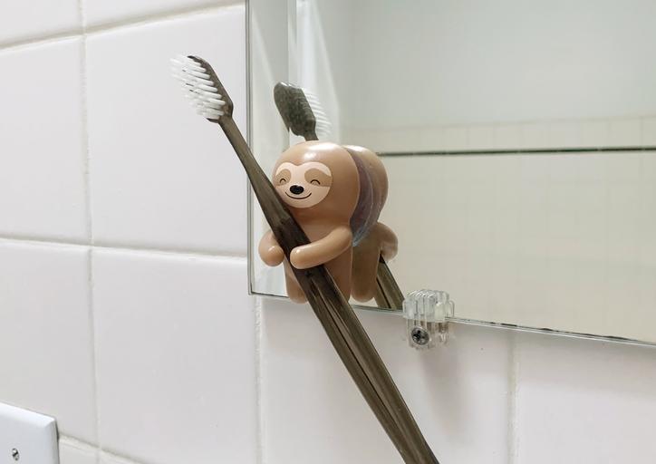Sloth toothbrush holder